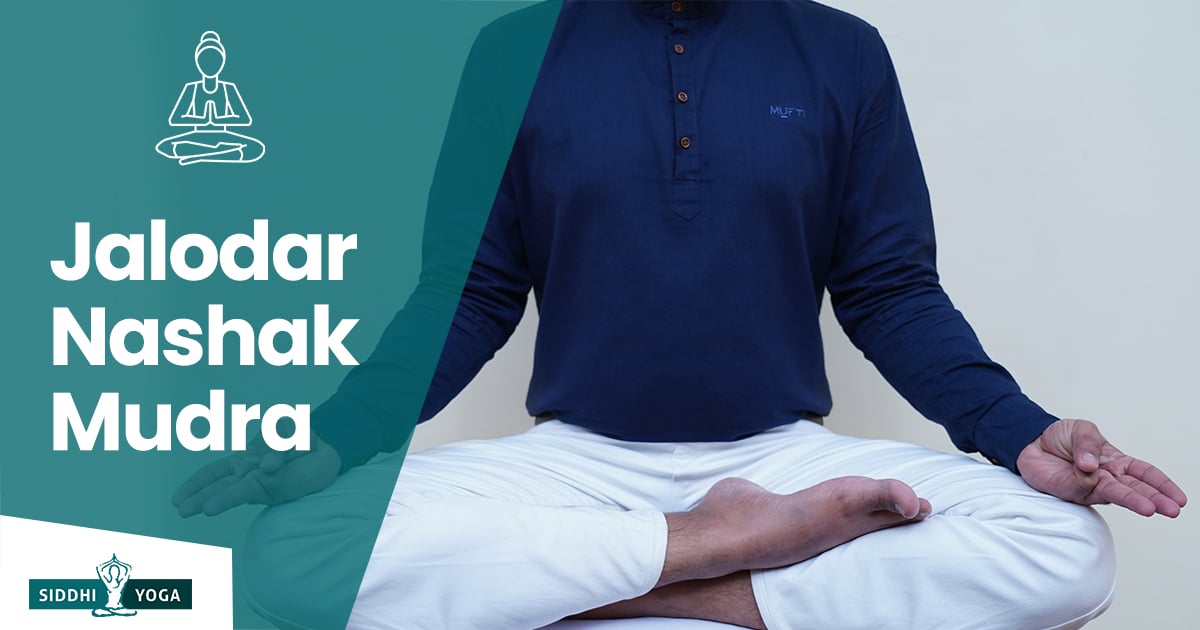 How To Do Jalodar Nashak Mudra Key Benefits Siddhi Yoga how-to-do-jalodar-nashak-mudra-key-benefits-siddhi-yoga