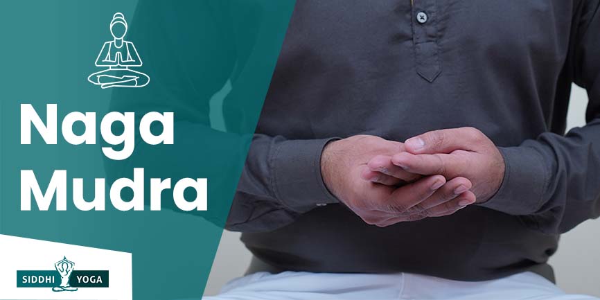 Naga Mudra: significato, vantaggi e come fare