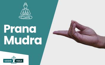 prana mudra