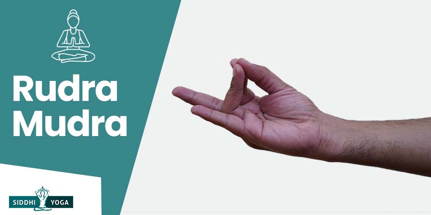 rudra mudra