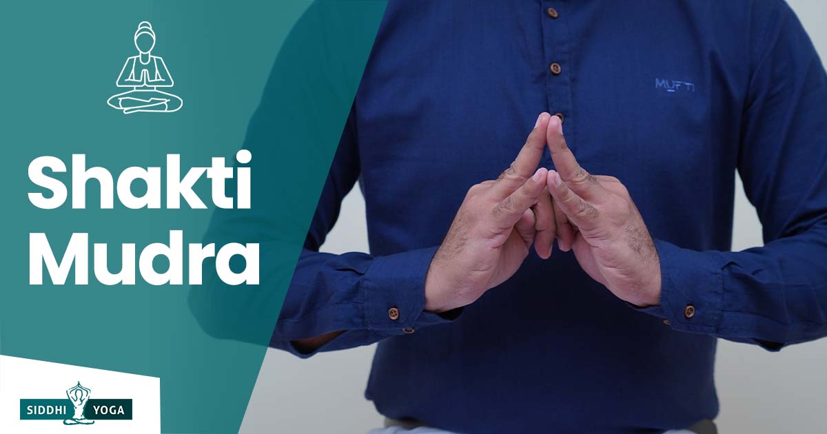 Shakti Mudra Its Meaning Benefits How To Do Siddhi Yoga Shakti Mudra Its Meaning Benefits How To Do Siddhi Yoga