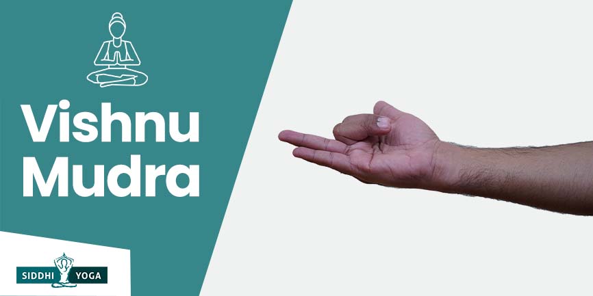 vishnu mudra