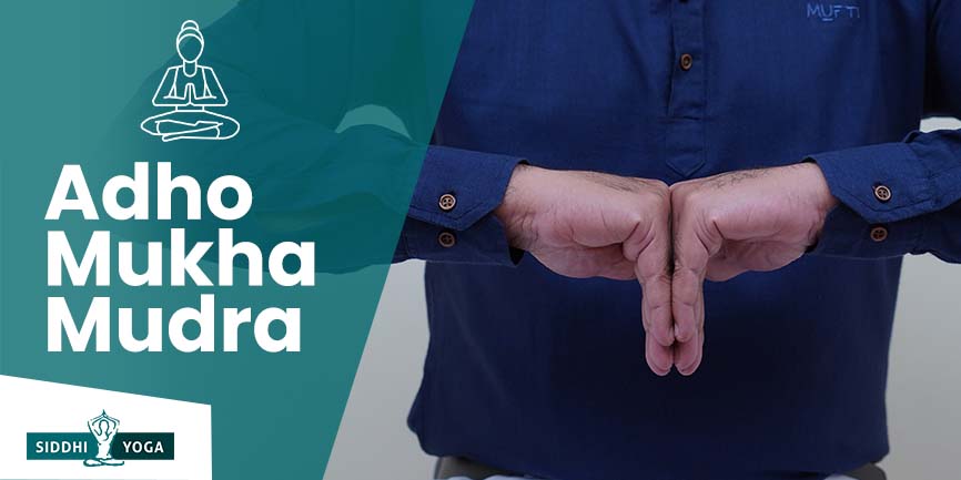 adho mukha mudra