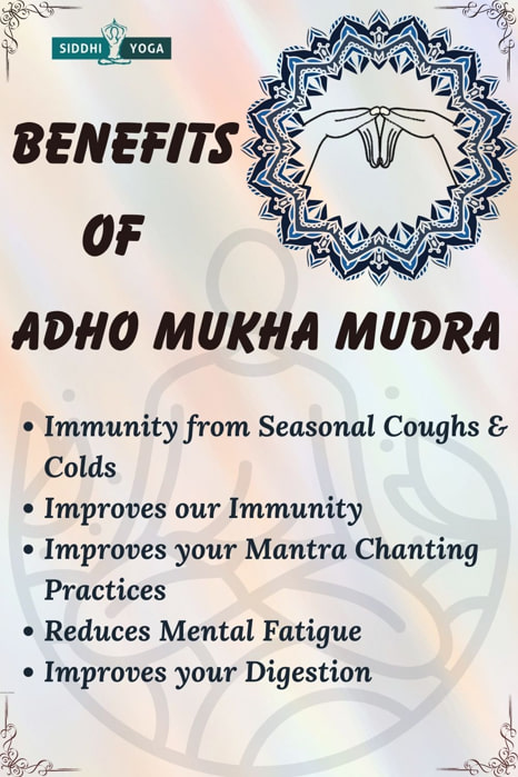 adho mukha mudra benefits