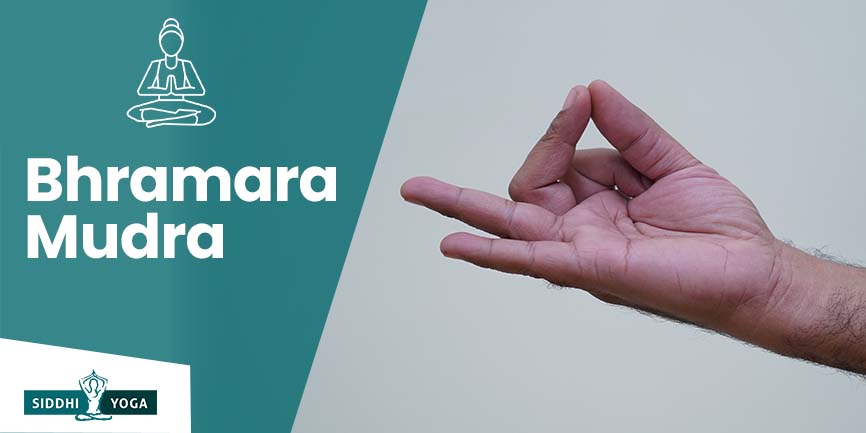 bhramara mudra