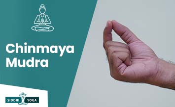 chinmaya mudra