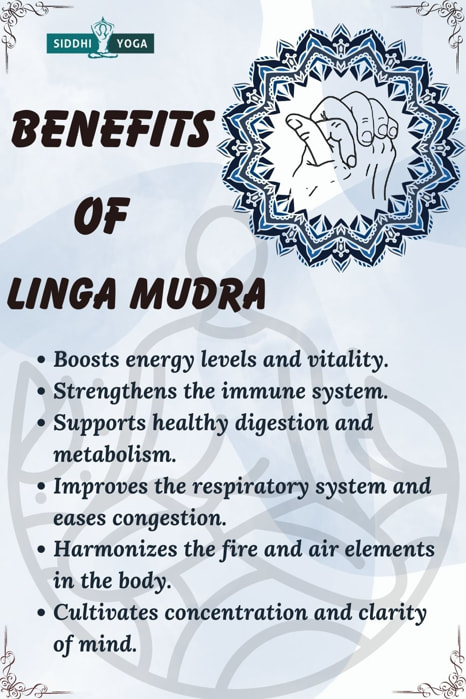 linga mudra benefits
