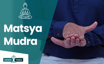 matsya mudra