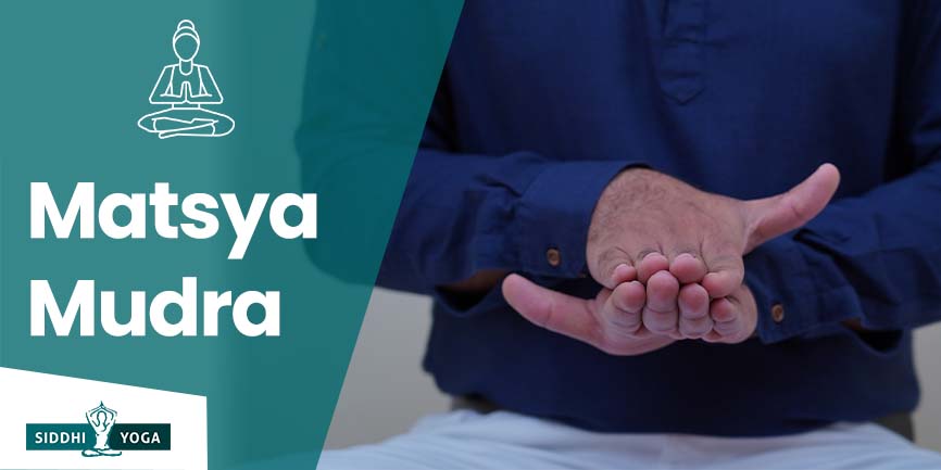 matsia mudra