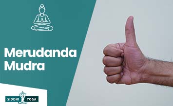 merudanda mudra