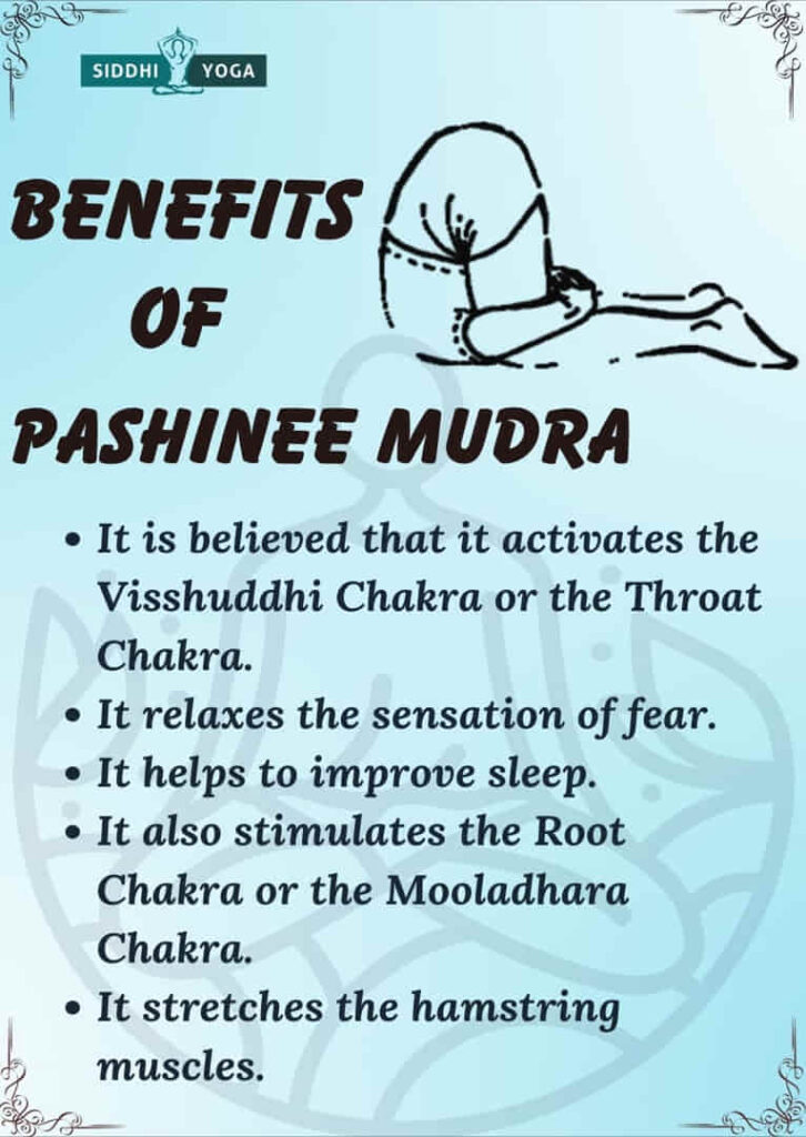 pashinee mudra benefits