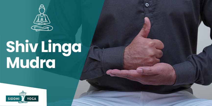 shiv linga mudra