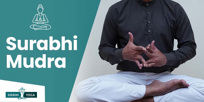 Yogamudra Asna - Sequence of Steps, Posture & Benefits of Yoga Mudra