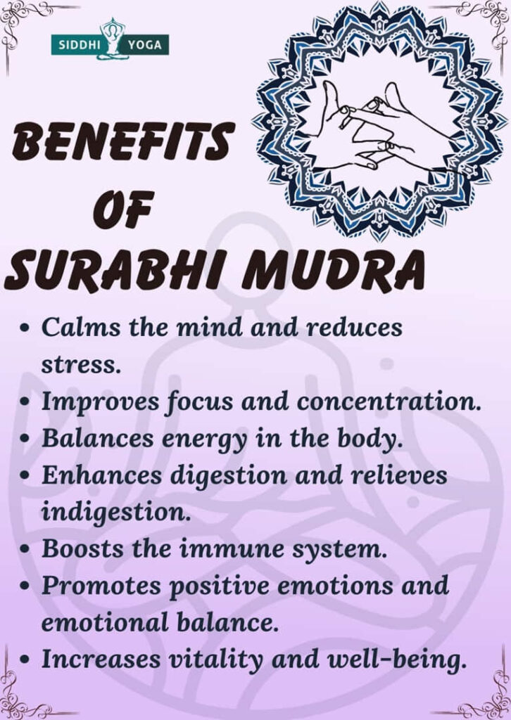 surabhi mudra benefits