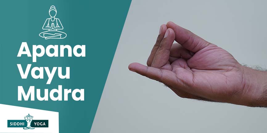 Apana-Vayu-Mudra