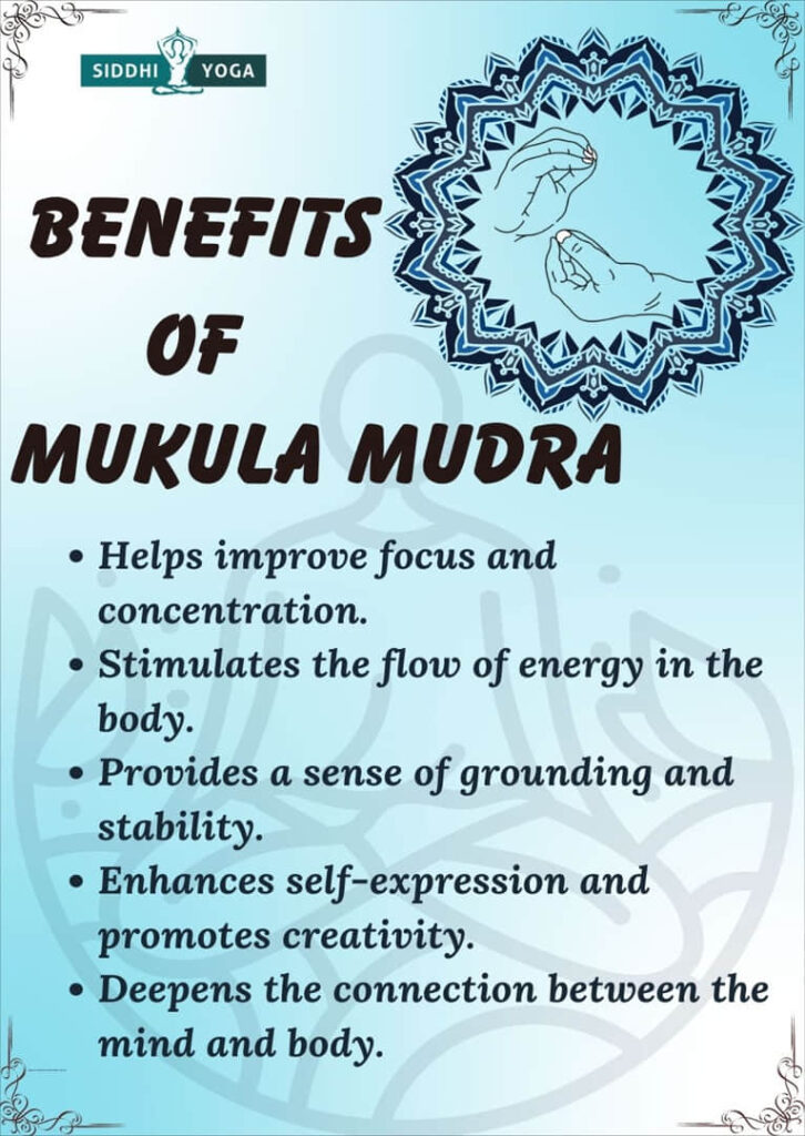 mukula mudra benefits