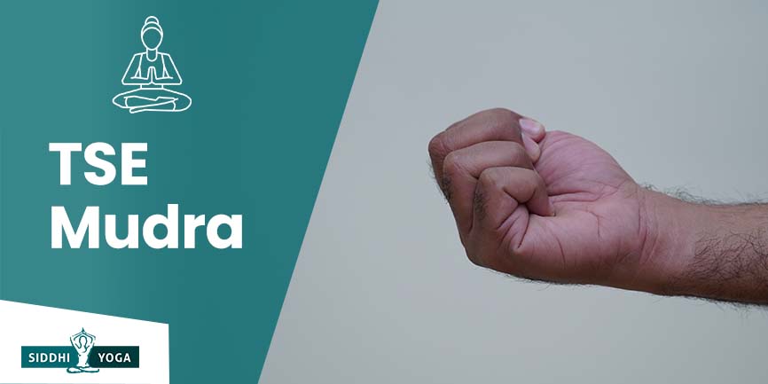questo mudra