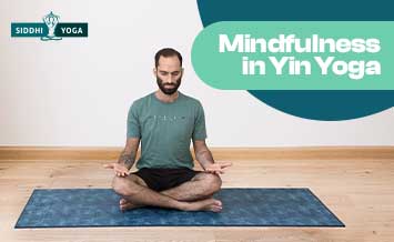 pleine conscience dans le yin yoga