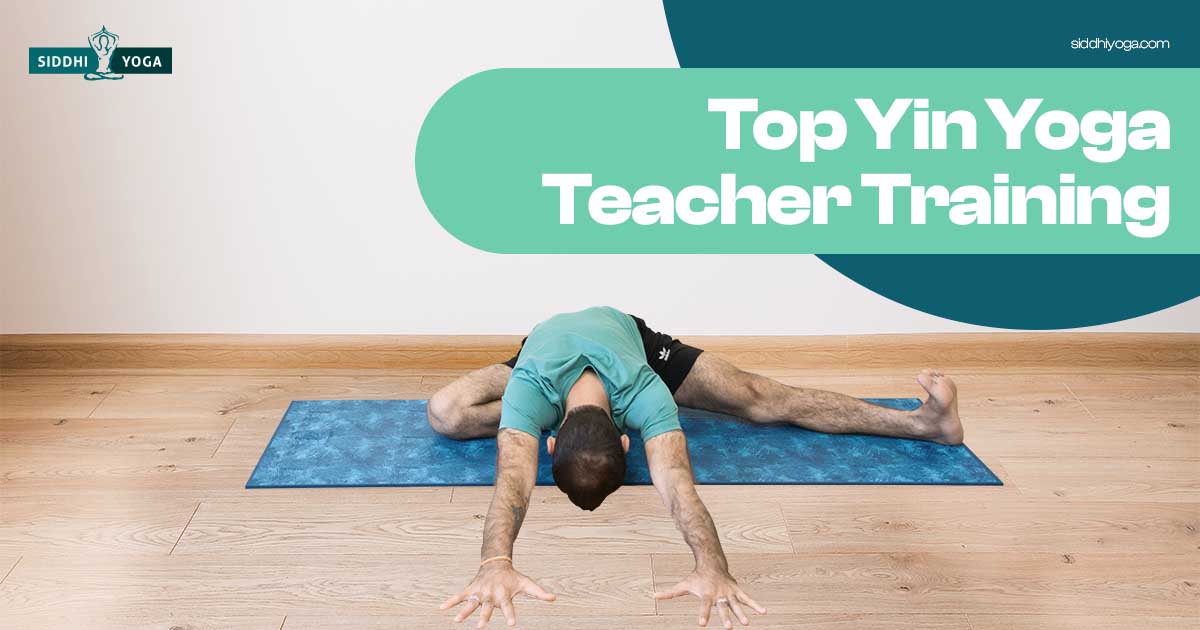 Yin Yoga Teacher TrainingTypes, Top Schools & Camps in India Siddhi Yoga