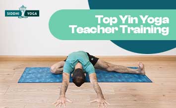 Ausbildung zum Yin-Yoga-Lehrer