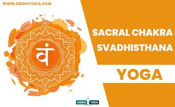 scaral chakra yoga