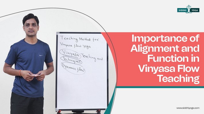 Importance de l’alignement et de la fonction dans l’enseignement du Vinyasa Flow