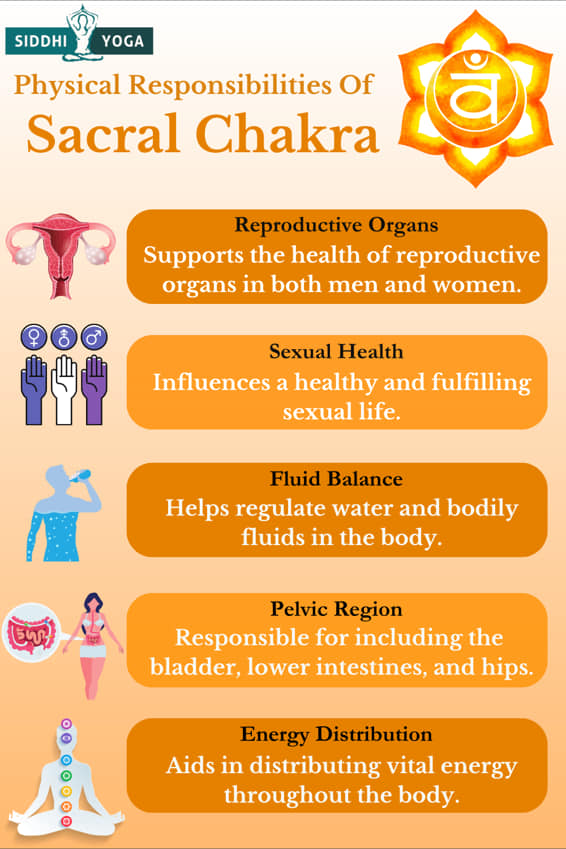 physical responsibilities of sacral chakra