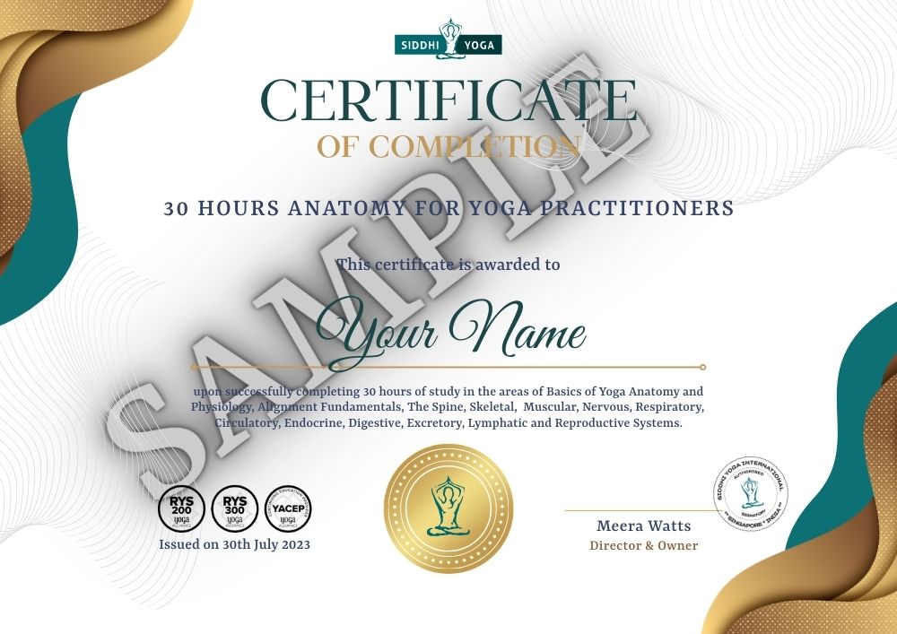 Образец сертификата по анатомии за 30 часов