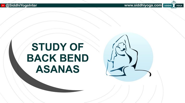 Study and Practical Usage of Different Asana Types