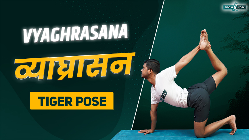 Vyaghrasana (Tiger Pose)