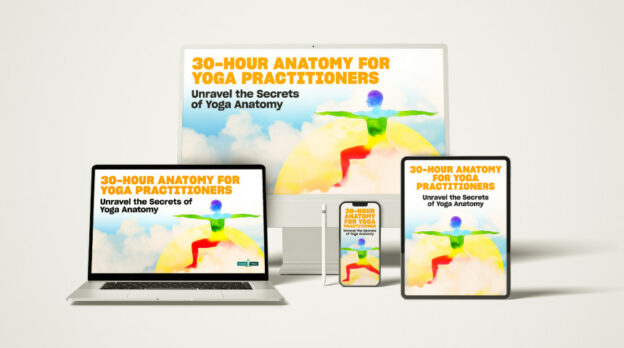 anatomy for yoga practioners 2024