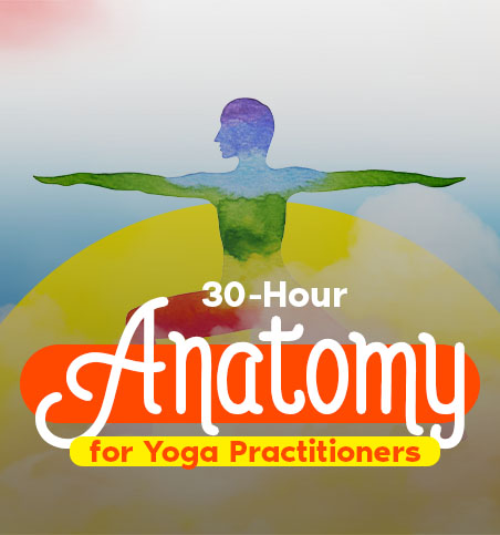 योग अभ्यासकर्ताओं के लिए 30 घंटे की शारीरिक रचना