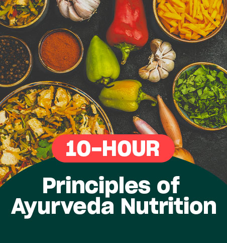 principles of ayurveda nutrition english