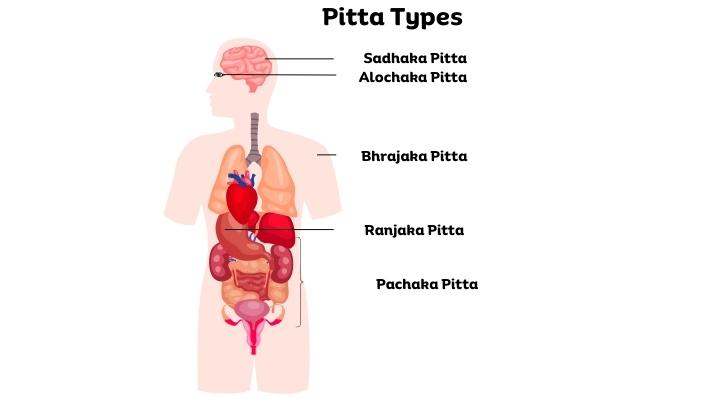 five types of pitta dosha where is it present in your body