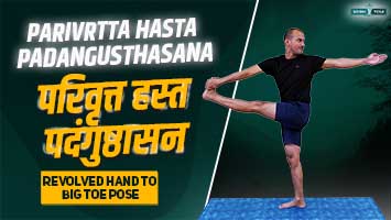 parivrtta hasta padangusthasana