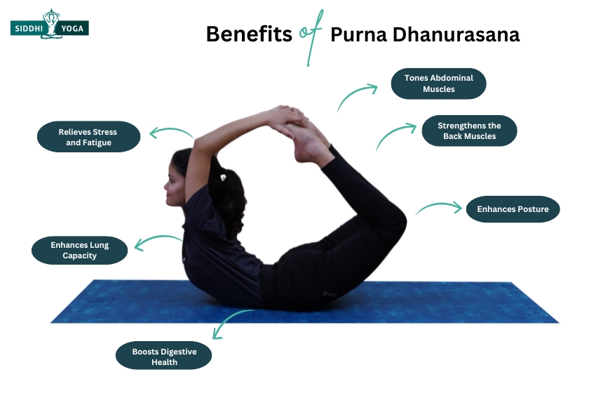 Benefits of Purna Dhanurasana (Full Bow Pose) include improved posture, back strength, toned abs, better lung capacity, and stress relief.