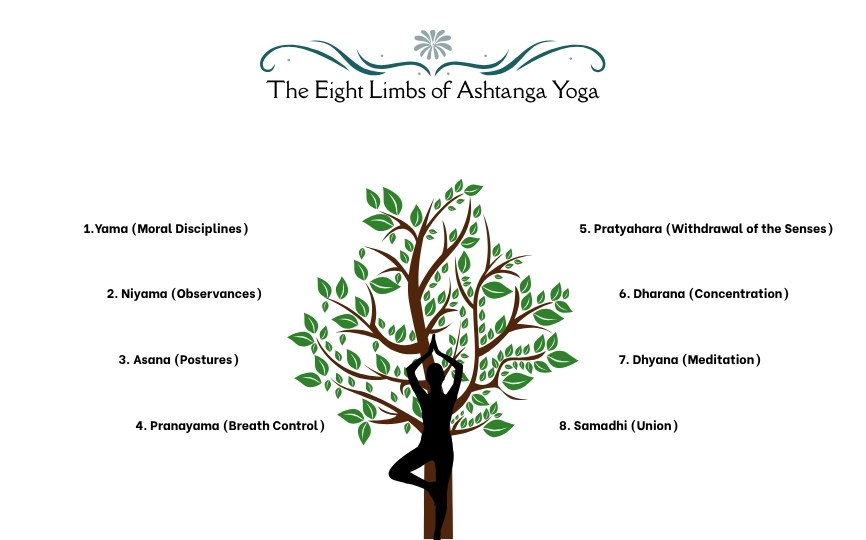 8本rimbs-of-ashtanga-yoga