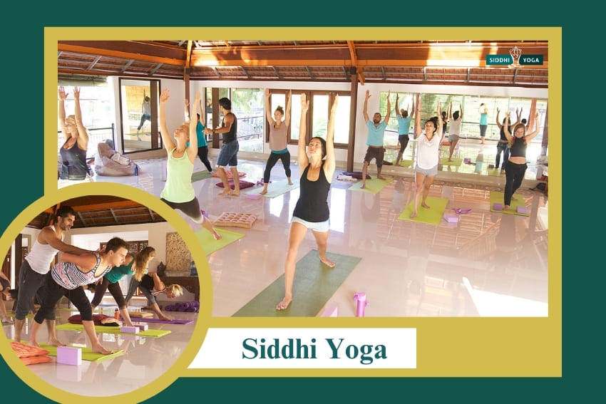 Siddhi Yoga Teacher Training