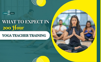 What to Expect in 200 Hour Yoga Teacher Training