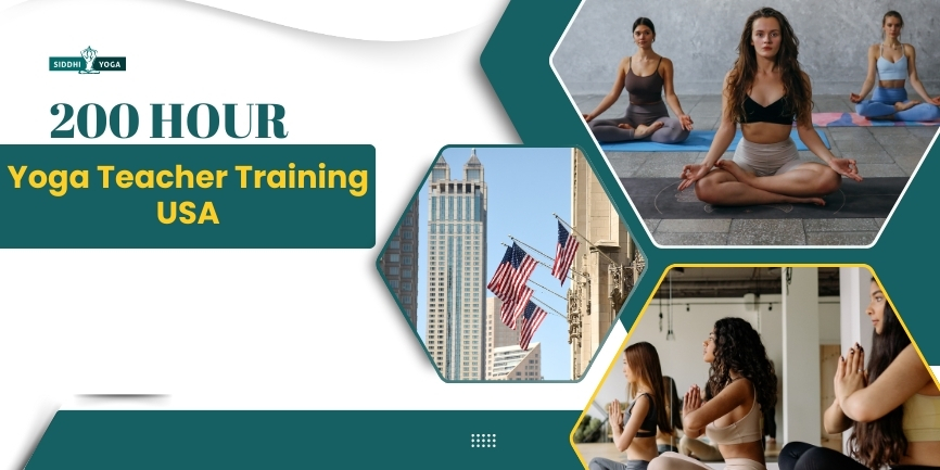 200時間ヨガ教師 - トレーニング-USA