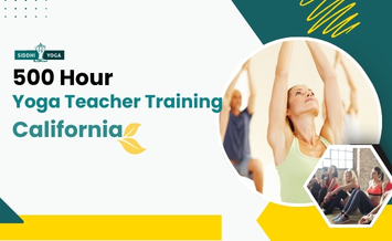 500-Hour-Yoga-Teacher-Training-California