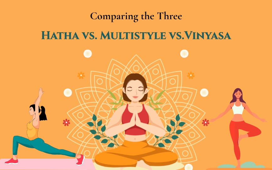 हठ-बनाम-मल्टिस्टाइल-वीएस-विनीसा