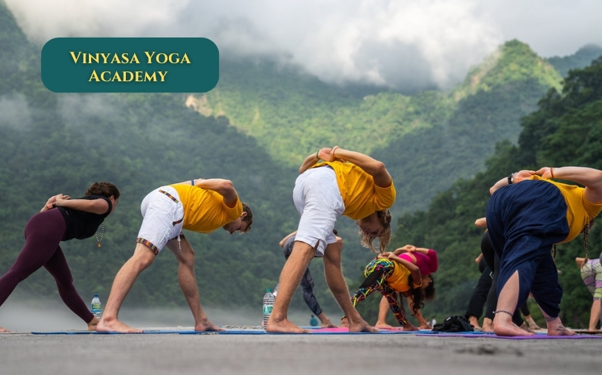 Vinyasa-yoga-academia