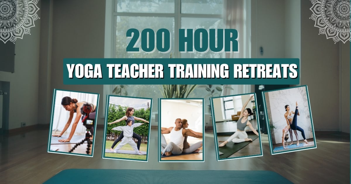 Best 200 Hour Yoga Teacher Training Retreats | Siddhi Yoga