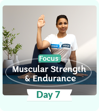 session-day7