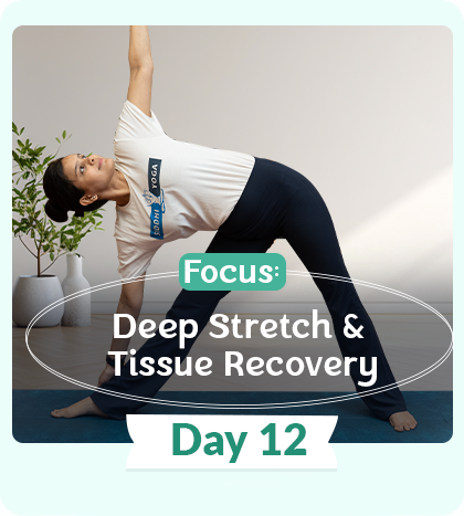 session-day12