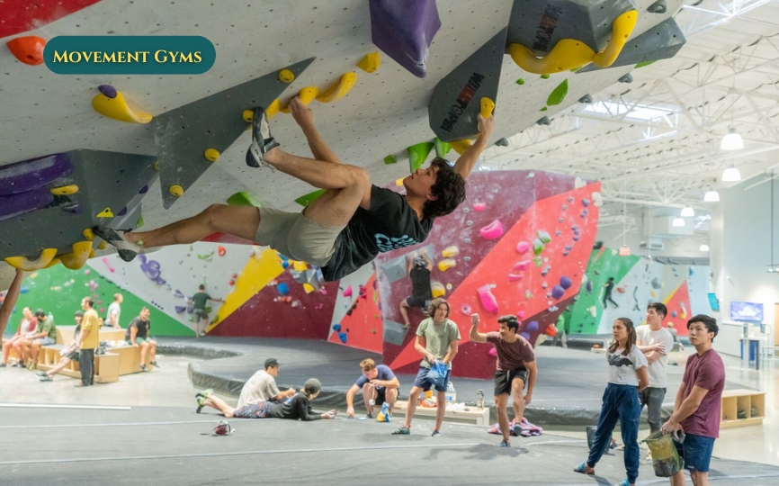 Movement Gyms