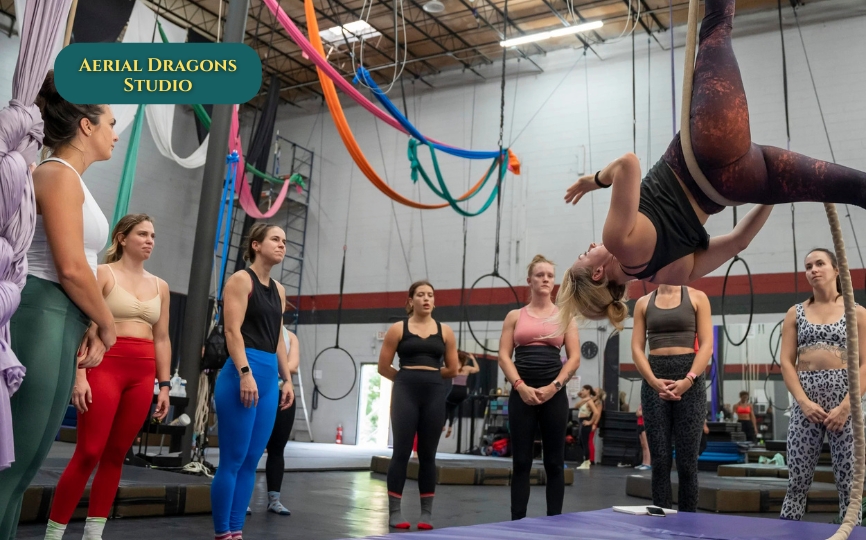 Aerial Dragons Studio