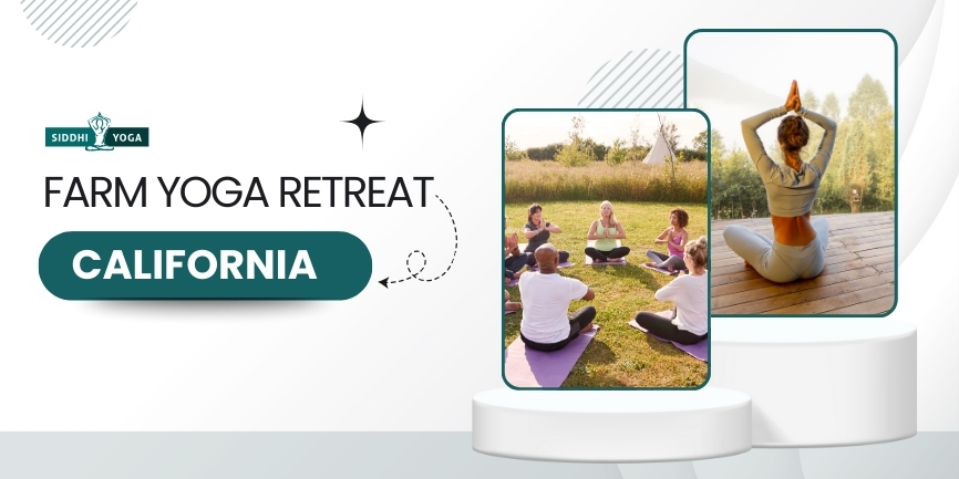 Фермерский йога-ретрит в Калифорнии