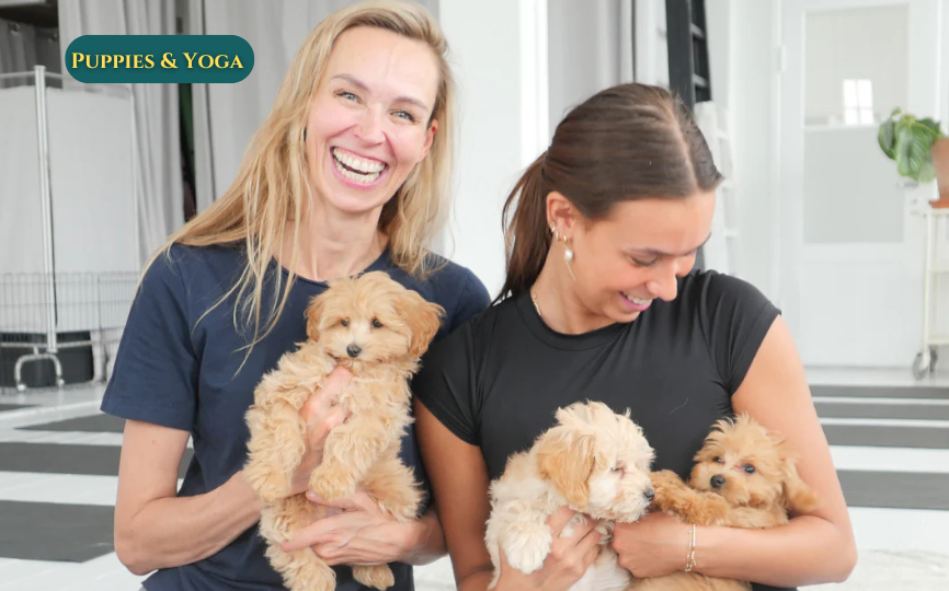 पिल्ले और योग 